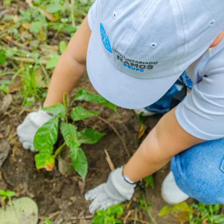 Sembramos mucho más que plantas: sembramos el futuro. 